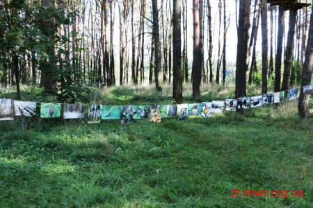 У Гідропарку відбувся Еко-фестиваль «Я люблю ліс»