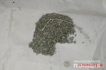 Зброю та коноплю вилучили поліцейські на дачі у бердичівлянина