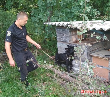 Зброю та коноплю вилучили поліцейські на дачі у бердичівлянина