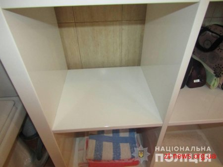 Зухвалого "домушника" затримали на Житомирщині