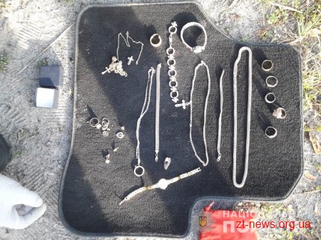 Зухвалого "домушника" затримали на Житомирщині