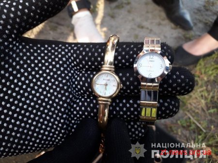 Зухвалого "домушника" затримали на Житомирщині