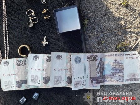 Зухвалого "домушника" затримали на Житомирщині