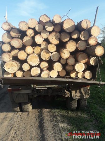 На Житомирщині поліцейські затримали два лісовози з деревиною без документів