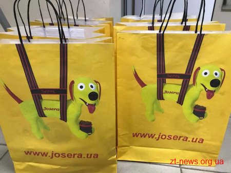 На Михайлівській 16 чотирилапих узяли участь у першій виставці безпородних собак «Мокрий ніс»