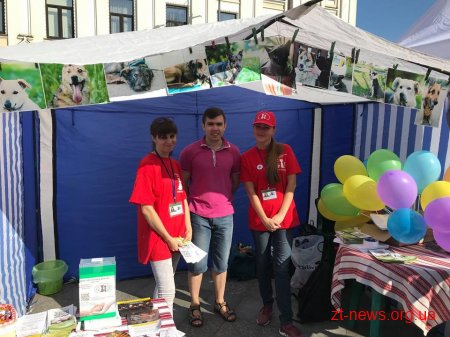 На Михайлівській 16 чотирилапих узяли участь у першій виставці безпородних собак «Мокрий ніс»