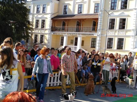 На Михайлівській 16 чотирилапих узяли участь у першій виставці безпородних собак «Мокрий ніс»