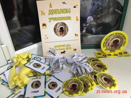 На Михайлівській 16 чотирилапих узяли участь у першій виставці безпородних собак «Мокрий ніс»