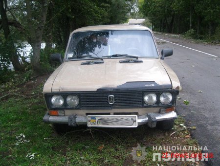 На Житомирщині водій ВАЗу на мосту збив пенсіонерку