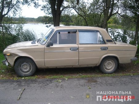 На Житомирщині водій ВАЗу на мосту збив пенсіонерку
