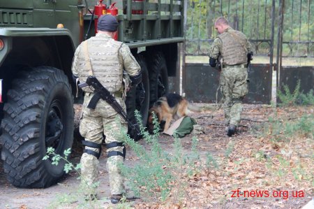 На Житомирщині відбулися масштабні спільні антитерористичні навчання силових відомств