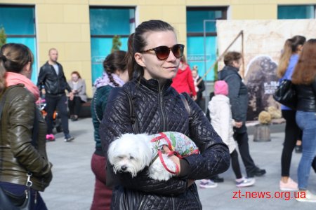 У Житомирі на Михайлівській відзначили День туризму