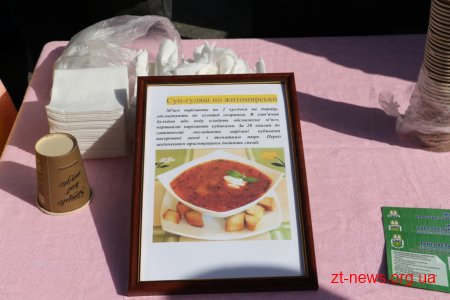У Житомирі на Михайлівській відзначили День туризму
