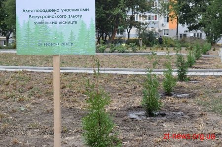 Баранівське шкільне лісництво гідно представило Житомирщину на всеукраїнських змаганнях