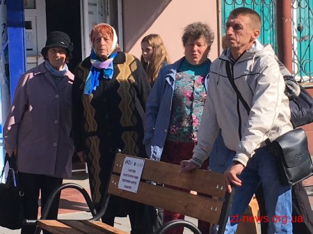До Міжнародного Дня людей похилого віку у Житомирі висадили алею зелених насаджень