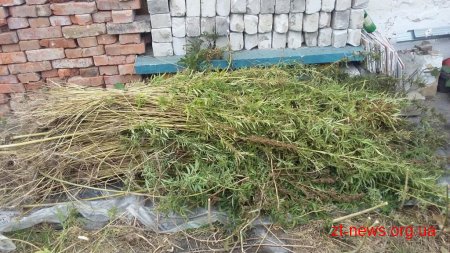 На Житомирщині прикордонники не допустили  розповсюдження наркотиків