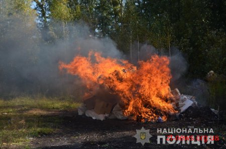 Житомирські поліцейські спалили наркотиків на 2 мільйони гривень