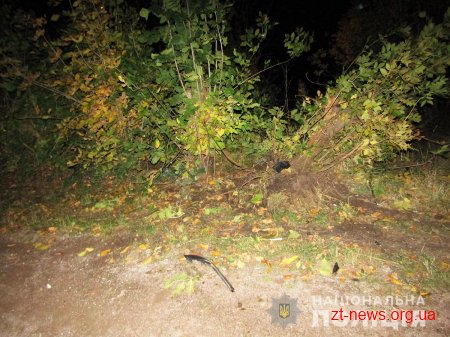 Правоохоронці розшукують водія, який травмував дитину та втік з місця ДТП