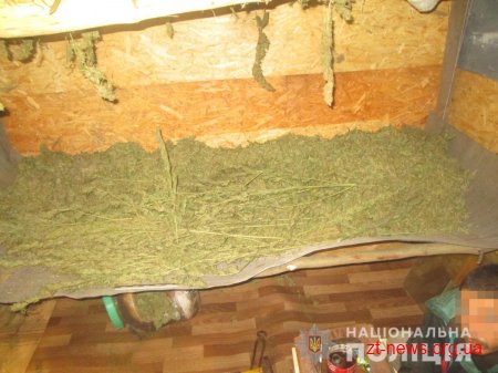 На Житомирщині поліцейські викрили сховок з майже півтонною сухих конопель