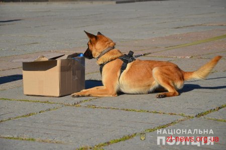 У Житомирі тривають святкові заходи з нагоди Дня захисника України
