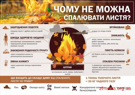 За спалювання листя та сміття житомирян можуть оштрафувати на суму до 1360 грн.
