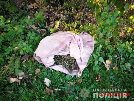 На Житомирщині поліцейські приїхали за викликом на сімейний конфлікт, а виявили 1,5 кг наркотиків