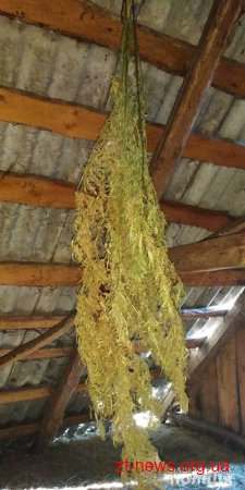 На Житомирщині поліцейські приїхали за викликом на сімейний конфлікт, а виявили 1,5 кг наркотиків