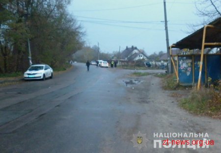 У Житомирі автомобіль зіткнувся з парканом: жінка-водій загинула