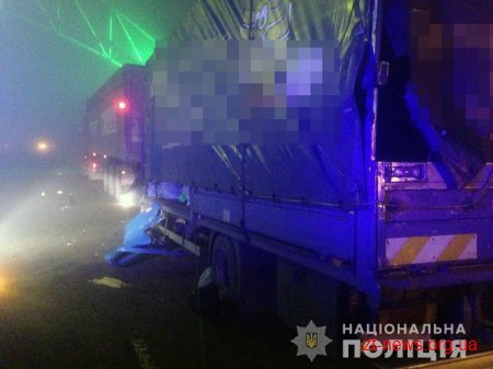 Поблизу Житомира уночі зіштовхнулись дві вантажівки