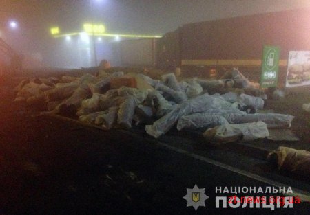 Поблизу Житомира уночі зіштовхнулись дві вантажівки