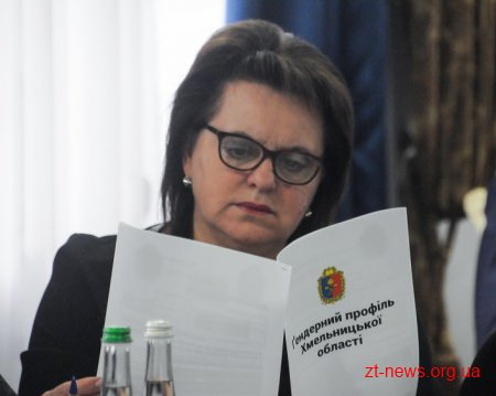 Голова ОДА обговорив з Іванною Климпуш-Цинцадзе гендерний баланс в органах виконавчої влади Житомирщини