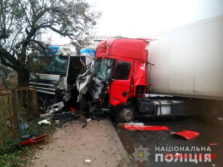 Поблизу Житомира "Москвич" вилетів на зустрічну смугу та зіткнувся з вантажівкою