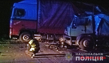 У Коростенському районі зіштовхнулись дві фури