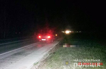 На трасі Київ - Ковель чоловік, який перебігав дорогу потрапив під колеса автомобіля