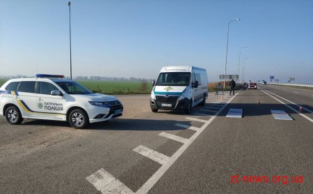 Перевізники-порушники сплатять 1614 євро штрафів за порушення норм вантажоперевезення