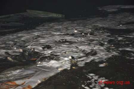 У річку Тетерів запустили ще 2,7 тонн риби