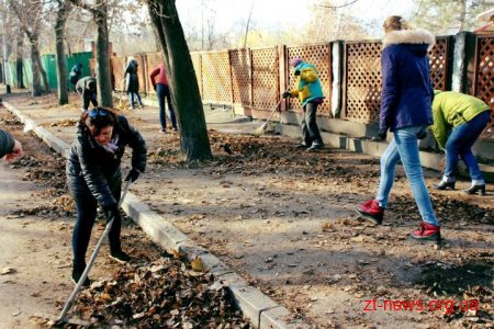 Працівники мережі міських бібліотек прибрали територію парку ім. Гагаріна