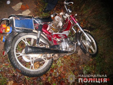 На Коростенщині селяни допомогли затримати двох крадійок