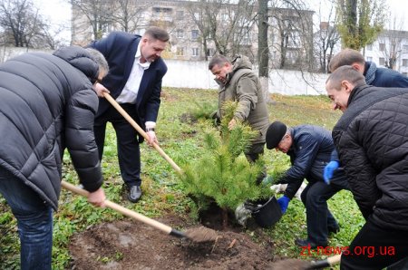 Керівники області разом з депутатами та лісниками посадили сосни на території онкодиспансеру