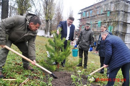 Керівники області разом з депутатами та лісниками посадили сосни на території онкодиспансеру