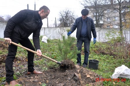 Керівники області разом з депутатами та лісниками посадили сосни на території онкодиспансеру