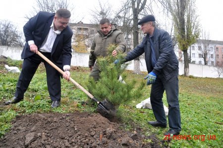 Керівники області разом з депутатами та лісниками посадили сосни на території онкодиспансеру