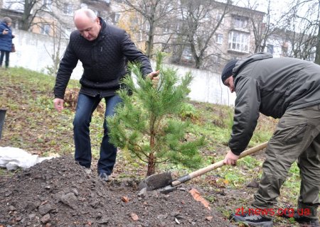 Керівники області разом з депутатами та лісниками посадили сосни на території онкодиспансеру