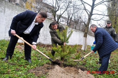 Керівники області разом з депутатами та лісниками посадили сосни на території онкодиспансеру