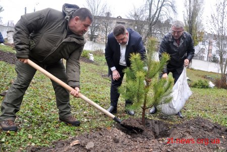 Керівники області разом з депутатами та лісниками посадили сосни на території онкодиспансеру