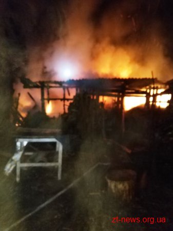 Під час пожежі у власному будинку загинула жінка
