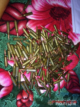 Під час обшуку в гаражі жителя Пулинського району поліцейські виявили набої та димову шашку