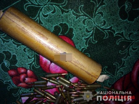 Під час обшуку в гаражі жителя Пулинського району поліцейські виявили набої та димову шашку