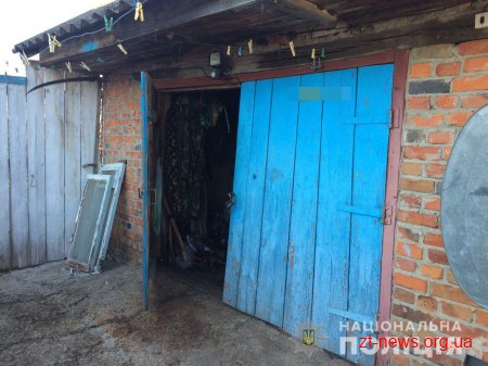 Під час обшуку в гаражі жителя Пулинського району поліцейські виявили набої та димову шашку