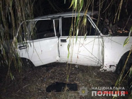 На Житомирщині ВАЗ, за кермом якого перебував неповнолітній водій, зіткнувся з деревом